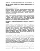 ENSAYO SOBRE LOS DERECHOS HUMANOS Y SU IMPORTANCIA PARA CONVIVENCIA ARMÓNICA DE LA SOCIEDAD