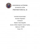 Integradora 2 Orientación