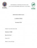 Aviones sistemas digitales Metacognition Activity