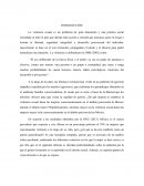 VIOLENCIA SEXUAL INTRODUCCIÓN