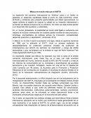 Ensayo México es mucho más que el NAFTA