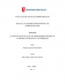 LA MOTIVACION EN LOS COLABORADORES PROMUEVE LA PRODUCTIVIDAD EN LAS EMPRESAS
