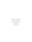 Contrl semanan 6 , fundamentos de control interno Pablo Cesar Yáñez Rodríguez