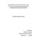 PIA Biologia 2 etapa4 INSTITUTO UNIVERSITARO EN SISTEMAS ADMINISTRATIVOS DE MONTERREY