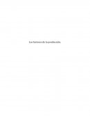 Los factores de la producción.