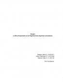 Las organizaciones agrícolas no escapan a la realidad del país, el entorno ha generado tal presión que en situaciones ha obligado a que paralicen su funciones y en el peor de los casos simplemente han desaparecido