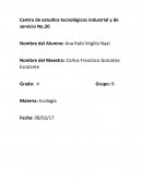 Biografias arlos Francisco Gonzales Escalante