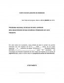 CARTA DE DECLARACION DE INGRESOS