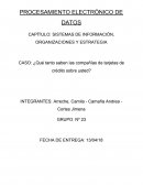 Caso de estudio SISTEMAS DE INFORMACIÓN, ORGANIZACIONES Y ESTRATEGIA