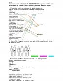 Teniendo en cuenta la definición de CULTURA FÍSICA en que nos beneficia como seres humanos en lo Social, físico, fisiológico, emocional, deportivo y salud?