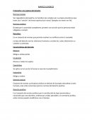 MARCO JURIDICO El derecho y los sujetos del derecho