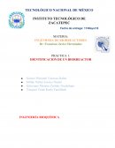 BIORREACTORES RESUMEN