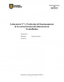 Laboratorio Nº 1: Predicción del funcionamiento de la central térmica del laboratorio de Termofluidos