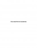 Nikola Tesla Nikola Tesla fue el que impulso la tecnología de la comunicación inalámbrica. Las Cataratas del Niagara fueron una motivación para imaginar una rueda impulsada por esa fuerza.