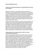 Ensayo ¿Porque el precio influye directamente en el posicionamiento de la marca y de la empresa?