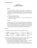 Direccion de la Produccion Ayudantía