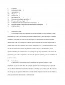 Tecnología y su Avance en Ingeniería Química