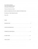 PROCESO ADMINISTRATIVO DE LA DIRECCION PREESCOLAR