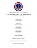 LOGICA PROPOSICIONAL y sus conectores lógicos