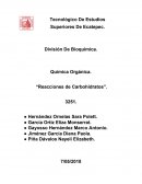 Química Orgánica. “Reacciones de Carbohidratos”