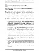 Demanda de proceso ordinario laboral de única instancia