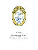 Informe desarrollo humano niña Taller de Desarrollo Humano I Infancia