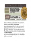 Cronologia de la psicologia
