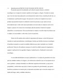 Identificación del PROYECTO DE NEGOCIO MYPE CERTUS.