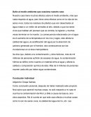 Daño al medio ambiente que ocasiona nuestro caso