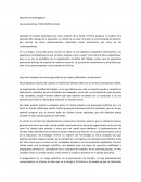 Reporte de investigación Caso: Empresa De Trading Internacional del Cacao
