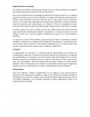 Segmentación de una Empresa