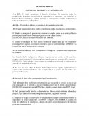 SECCIÓN TERCERA FORMAS DE TRABAJO Y SU RETRIBUCIÓN