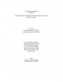 Diagrama de flujo importancia del medio ambiente en la empresa