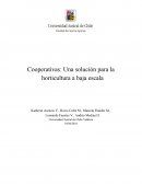 LA COMERCIALIZACIÓN Y GESTIÓN, LOS PROBLEMAS DE LAS HORTALIZAS