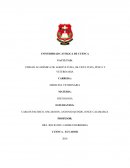 Agricultura, silvicultura, pesca y veterinaria
