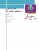 Adopción homoparental INTRODUCCIÓN.