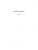 INFORME DE LABORATORIO