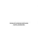 Factibilidad hospitalaria ESTUDIO DE FACTIBILIDAD HOSPITALARIA