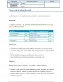 La Colmena S. A. Análisis del coste de las fuentes financieras