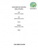 Comunicación y lenguaje