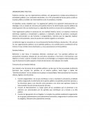 Organizacion de Partidos Politicos ORGANIZACIONES POLITICAS