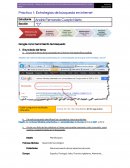 Práctica 1: Estrategias de búsqueda en internet