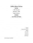 Informe Calidad y Mejora Continua