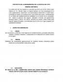 PROYECTO DE LA REENGENIERIA DE LA RUSTICA DE TUTO