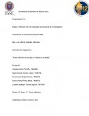 Difusión de los resultados del proyecto de investigación.