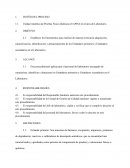 Validacion 1.1.	Unidad Analítica de Pruebas Físico-Químicas (UAPFQ) en el área de Laboratorio.