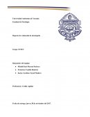 Reporte de evaluación de desempeño