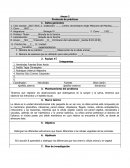 Biología Protocolo de prácticas