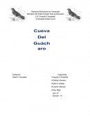 La cueva del guacharo