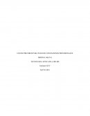 USO DE PREVIRED PARA PAGO DE COTIZACIONES PREVISIONALES5